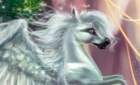 Игра за любовью на Пегасе и авы winx от меня Игра за любовью на Пегасе и авы winx от меня